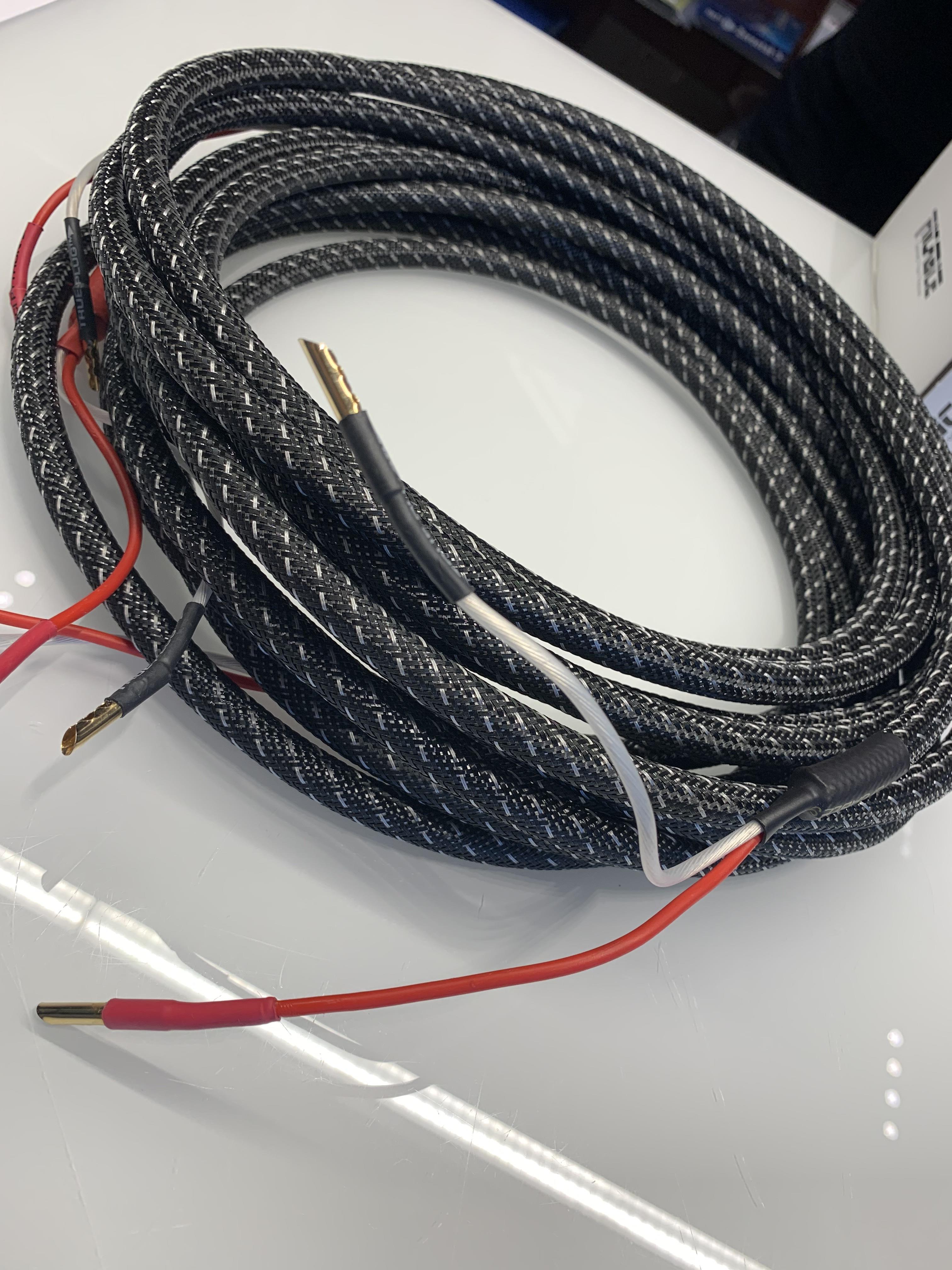 TCI  Python (80)