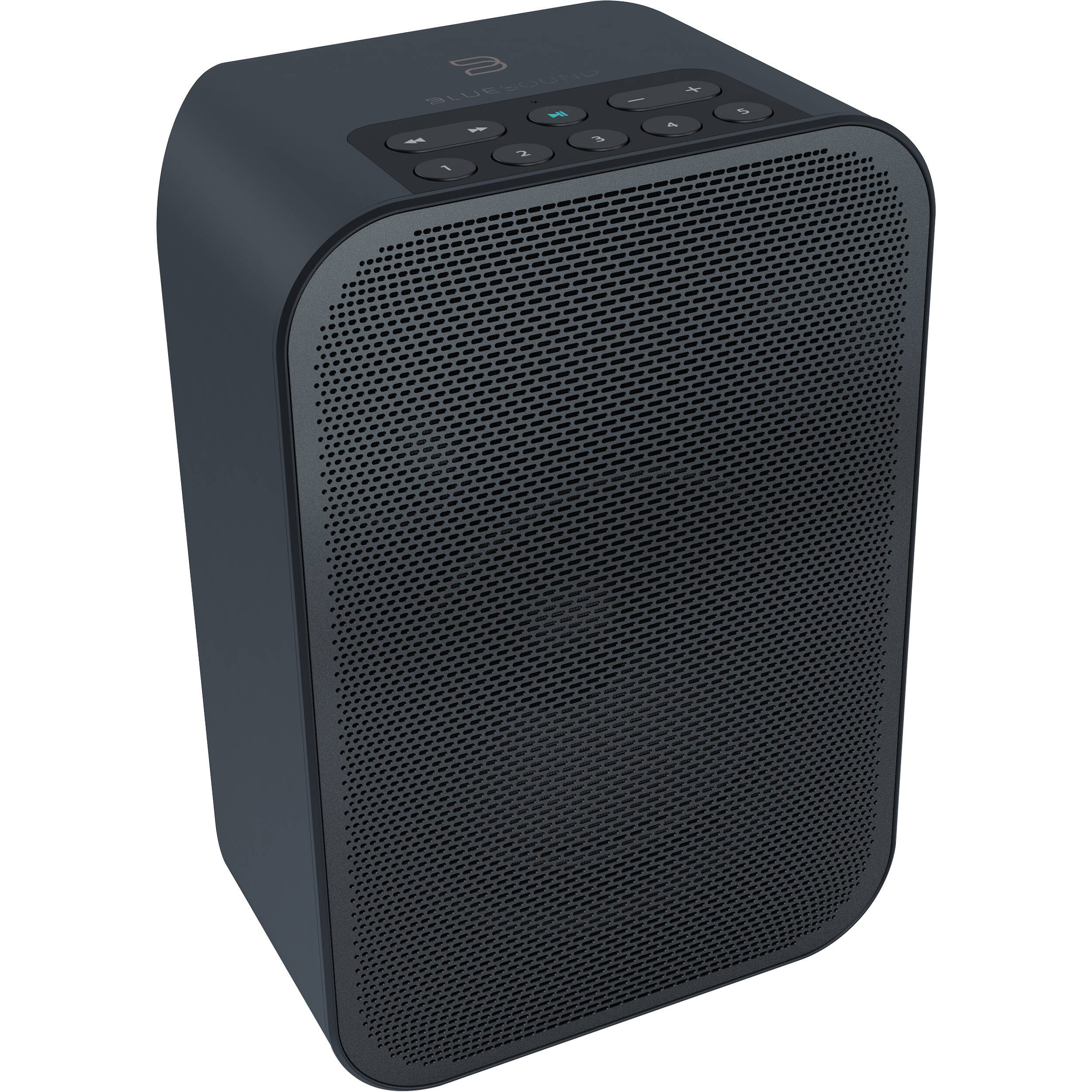 Bluesound PULSE FLEX (120x80)